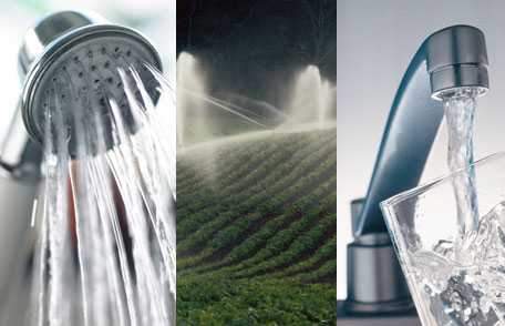 Collage of sprinkler head, wet leaf and kitchen faucet