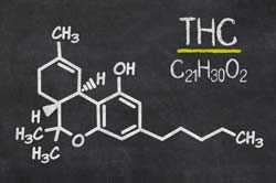 Blackboard with chemical diagram of THC
