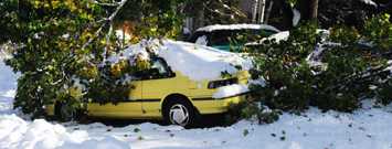 Photo: Cars trapped under snow and trees
