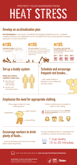 Infographic: Protect Your Workers from Heat Stress