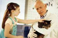 Photo: A veterinarian with a girl and her cat.
