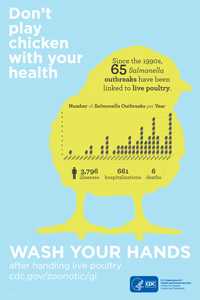 Infographic: Don't play chicken with your health. Since the 1990s, 53 salmonella outbreaks have been linked to live poultry - 2,611 illnesses, 387 hospitalizations and 5 deaths.