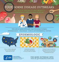 Infographic: Foodborne Disease Outbreaks