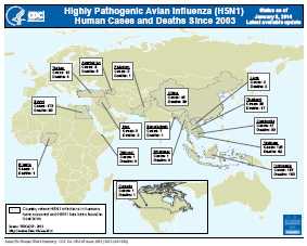 Este mapa muestra los lugares en el mundo donde ocurrieron las muertes y los casos de infección por el virus H5N1 de la influenza aviar altamente patógena desde 2003.