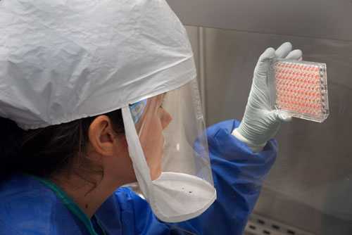 A CDC scientist measures the amount of H7N9 virus that has been grown and harvested in CDC’s laboratory