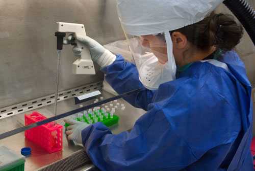 A CDC scientist uses a pipette to transfer H7N9 virus into vials for sharing with partner laboratories for public health research purposes