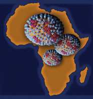 Mapa de África con imágenes del virus de la influenza