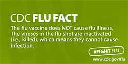 CDC Flu Facts