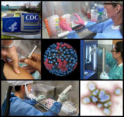 CDC's World Health Organization (WHO) Collaborating Center for Surveillance, Epidemiology and Control of Influenza