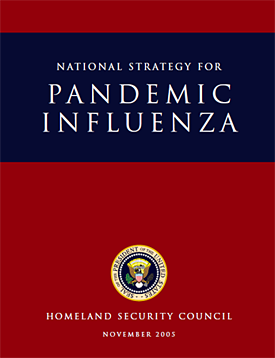 estrategias para la influenza pandémica