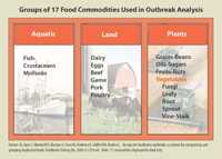 Chart: Groups of 17 Food Commodities (Categories) Used in Outbreak Analysis