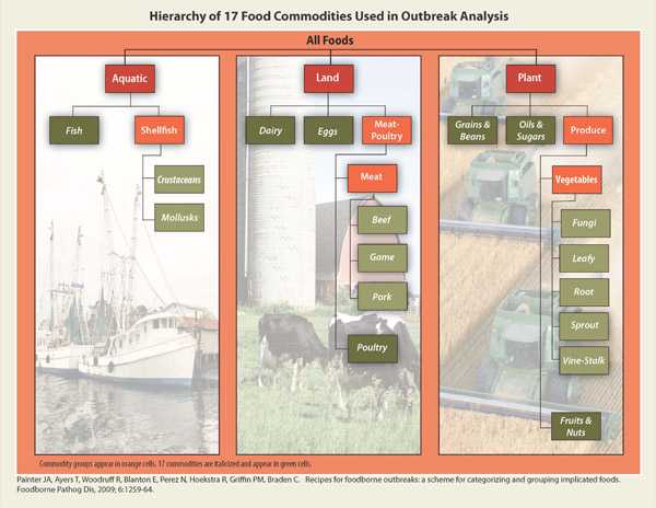 Graphic: Hierarchy of 17 Food Commodities Used in Outbreak Analysis