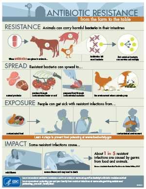 Graphic: Antibiotic Resistance: From the Farm to the Table. Resistance: All animals carry bacteria in their intestines. Antibiotics are given to animals. Antibiotics kill most bacteria. But resistant bacteria survive and multiply. Spread: Resistant bacteria can spread to animal products, produce through contaminated water or soil, prepared food through contaminated surfaces, and the environment when animals poop. Exposure: People can get sick with resistant infections from contaminated food and contaminated environment. Impact: Some infections cause mild illness, severe illness, and may lead to death.