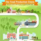 Small version of The Food Production Chain infographic