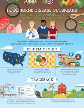 Foodborne Outbreaks Infographic