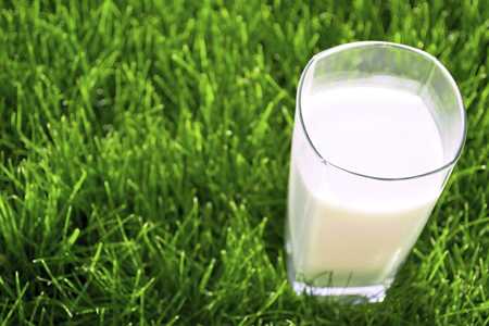 Glass of milk sitting on grass