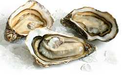 three%20raw oysters