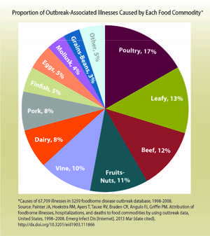 Proportion of Outbreak-Associated Illnesses caused by Each Food Commodity