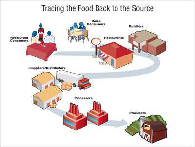 A visual representation of tracing the food back to the source when finding the point of contamination.