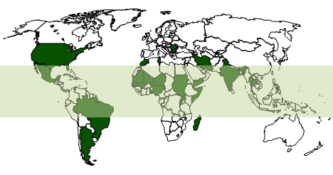 Countries shown in dark green indicate those in which cases of mycetoma have been reported in the medical literature. The mycetoma belt region is shaded in gray