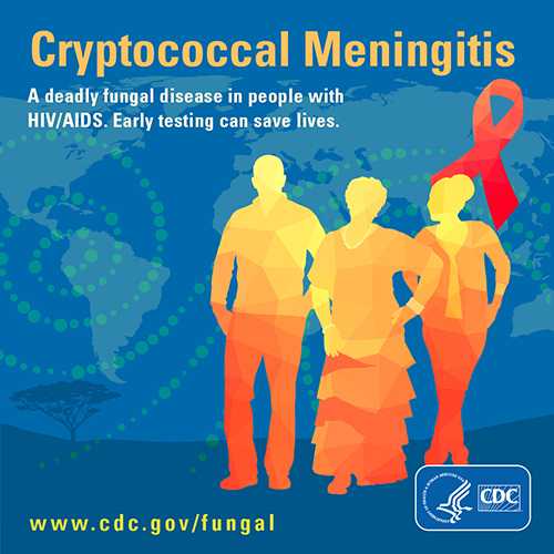 Image showing button for download on Cryptococcal Meningitis. A deadly fungal disease in people with HIV/AIDS. 