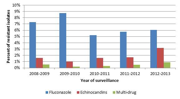 Percent of Candida bloodstream isolates* tested at CDC showing fluconazole, echinocandin, or multi-drug resistance by surveillance year