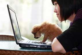 	a woman and a puppy in front of a laptop computer