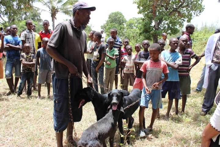 	Kenya makes great strides towards Rabies Elimination