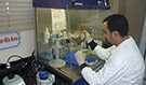 Scientist working in the Damanhur IEIP PCR laboratory unit.