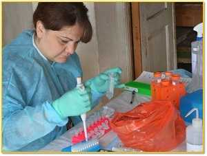 Maka Kokhreidze (SC/FELTP 2011; Georgia Laboratory of the Ministry of Agriculture) prepares samples following the discovery of a novel orthopox virus in a shepherd in Tianeti, Georgia, September 2013.
