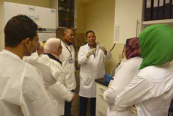 Diarrhea surveillance workshop; laboratory technicians in Damanhur IEIP microbiology lab training.