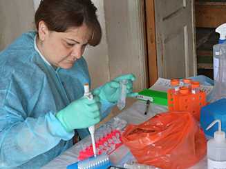 Preparing samples following the discovery of a novel orthopox virus in Georgia. 
