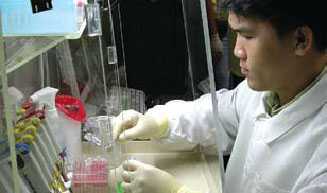In 2009, CDC’s Global Disease Detection Regional Center in Thailand built laboratory capacity across seven countries, enabling them to conduct new tests and respond more effectively to infectious disease threats
