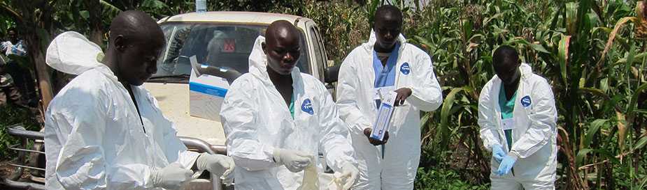 	Public health professionals put on protective gloves during the 2012 Ebola outbreak in Uganda.