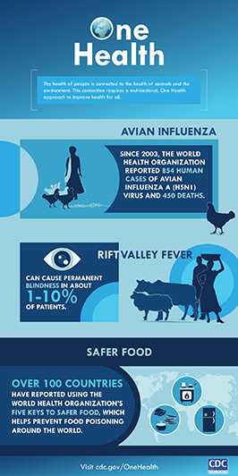 One Health Infographic: the health of people is connected to the health of animals and the environment. This connection requires a multisectoral, One Health approach to improve health for all.