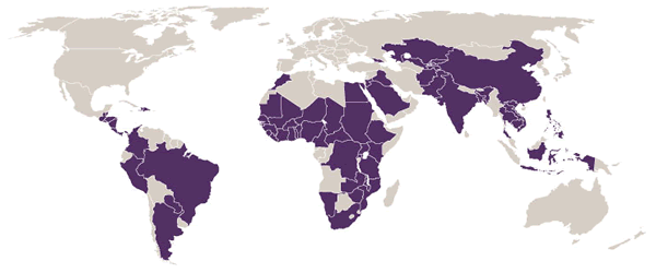 The Division of Global Health Protection works in over 70 countries around the world.