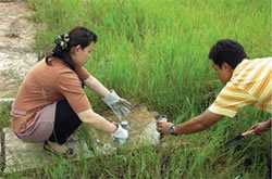 Two scientists collect soil samples in a green field in Thailand.