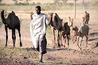 Ethiopia herder 2011 PCV10 introduction. Image by Hardeep Sandhu