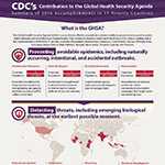Global Health Security infographic