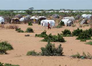 Improving Health for Kenya's Refugees by Building Laboratory Capacity
