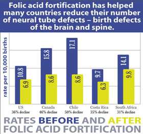 folic acid fortification
