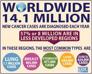 Worldwide Cancer Infographic