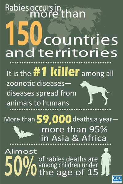 	Infographic of the Week: Rabies occur in more than 150 countries and territories. More than 55, 000 deaths a year- more than 95% in Asia &amp; Africa. Almost 50% of rabies deaths are among children under the age of 15.