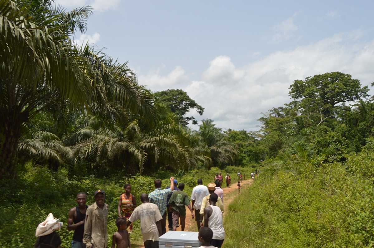 When paths are available, there are times when community members accompany vaccination teams serving as guides and translators along the way.  In Liberia, vaccination teams and community members traveling through dense plant life are met by members and families from the next community in an effort to help transport vaccines.  
