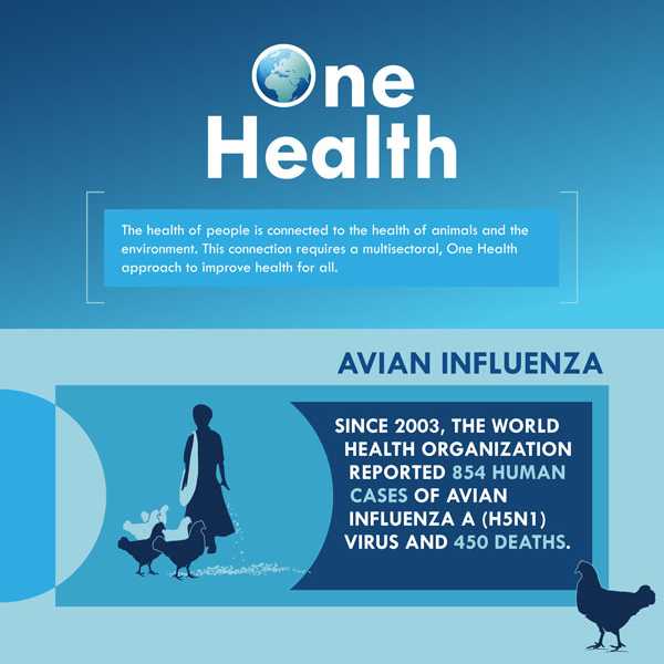 One Health - Avian Influenza