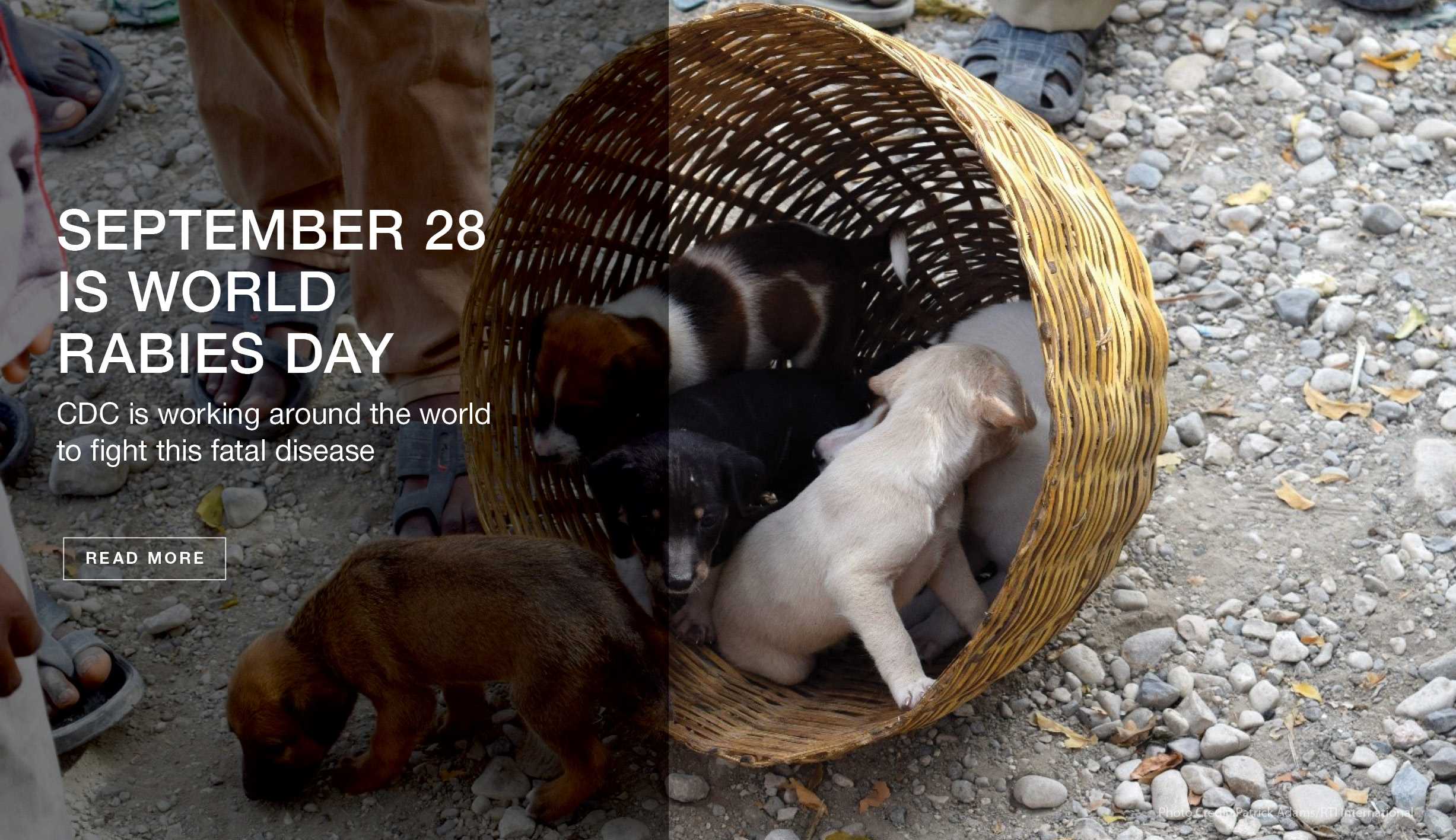 September 28 is world rabies day - CDC is working around the clock to fight this fatal disease.