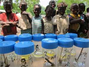 Urine and stool samples tested for schistosomiasis. CDC photo, Sonia Pelletreau