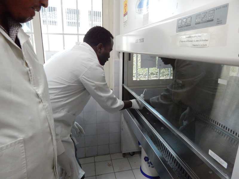 	Engineers cleaning the biosafety cabinets in the polio lab.