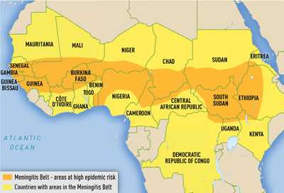 	The meningitis belt runs from Senegal in the west all the way to Ethiopia in the east.