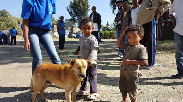 Boy with his dogs at a mass vaccination event in Addis Ababa, December 2016. 